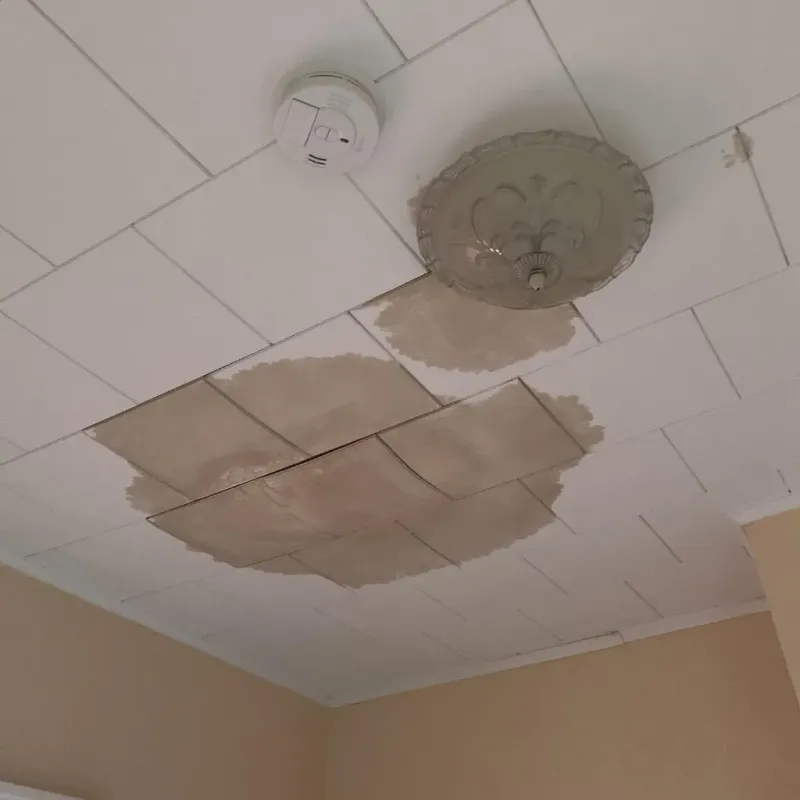 Ceiling Water Damage Repair in Lincoln County, MO