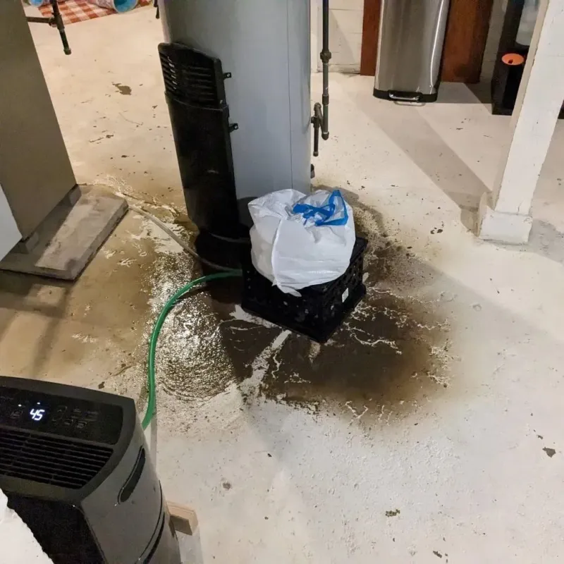 Sewage Backup Cleanup Service in Lincoln County, MO